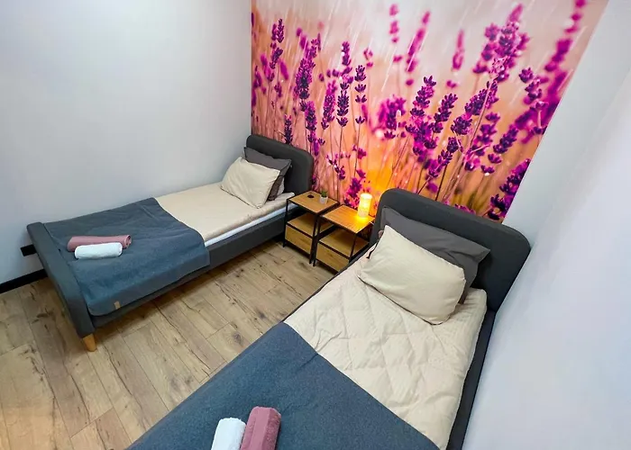 Apartament Delux Roztocze